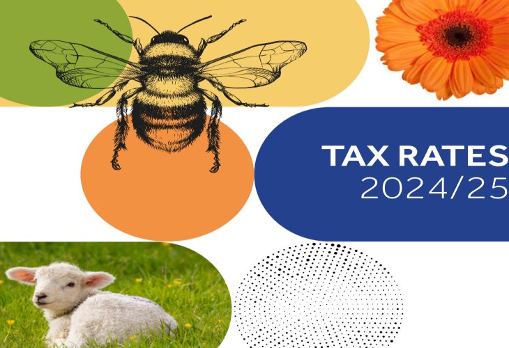 Tax Rates 2024-25