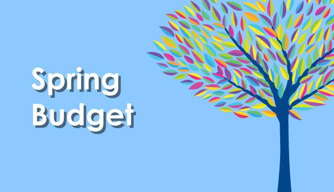 Spring 2017 Government Budget PDF